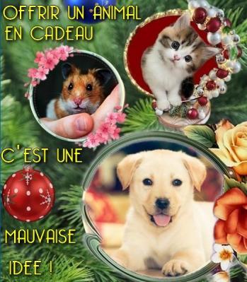 Abimal cadeau