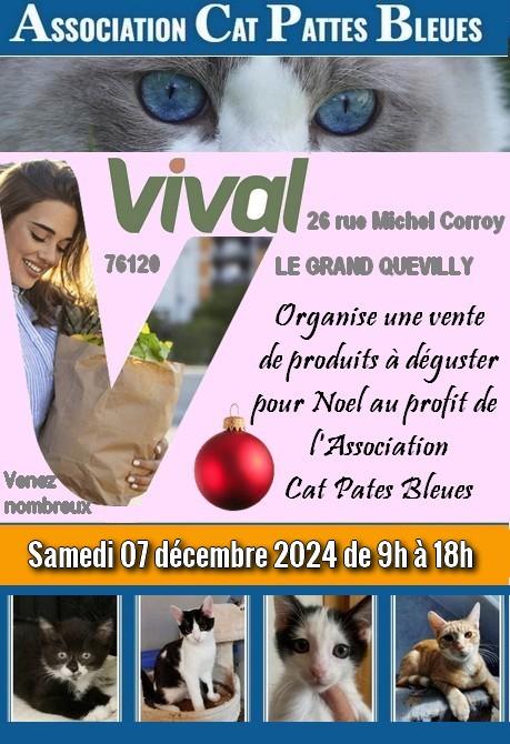 Affiche vival 1