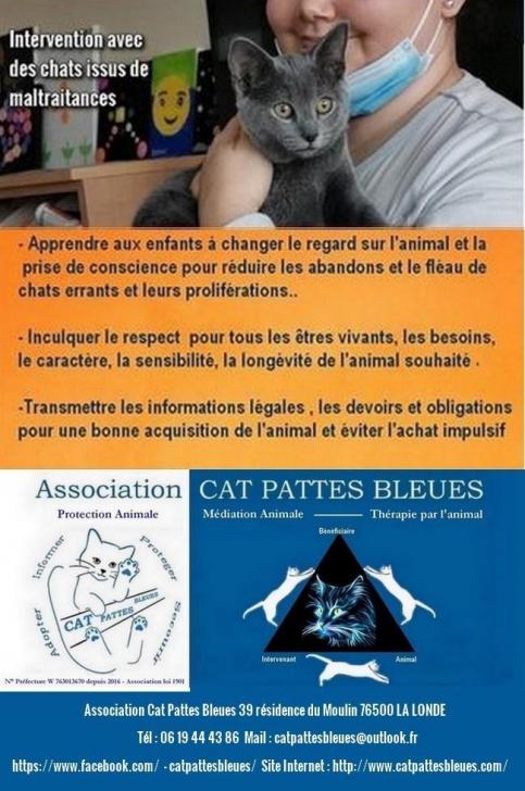Atelier mediation cat pattes bleues